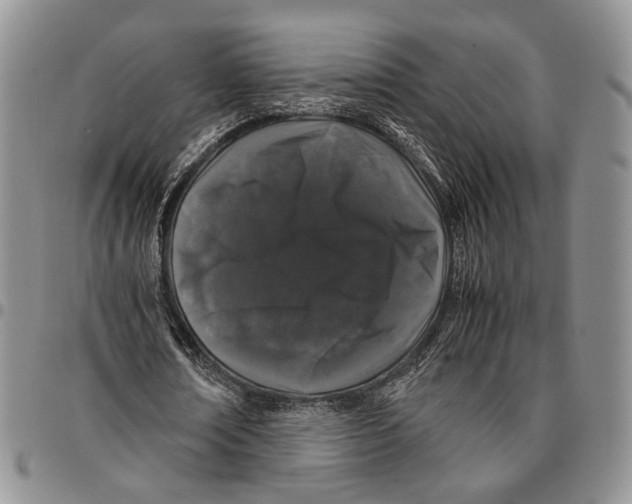 X0000096670674200803041221
