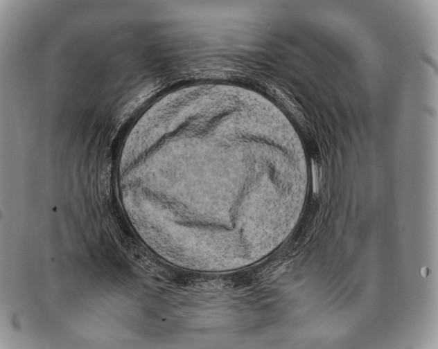 X0000096670675200803041221