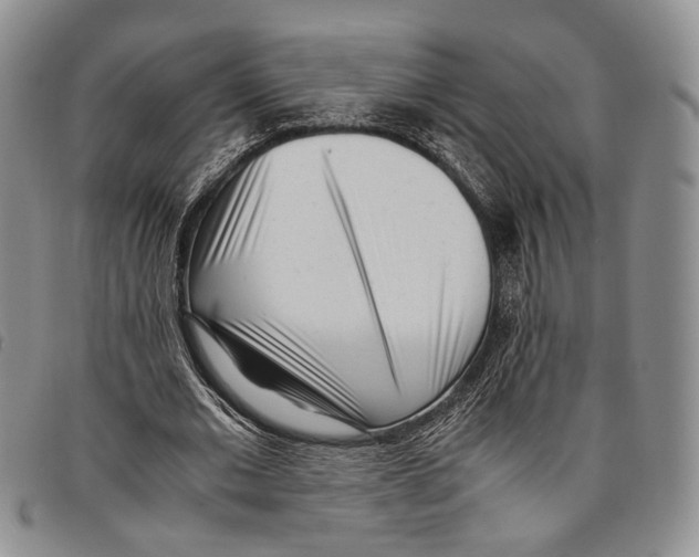 X0000096670677200803041221