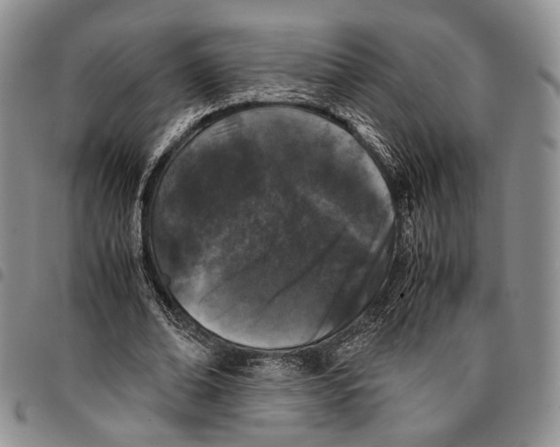 X0000096670678200803041221