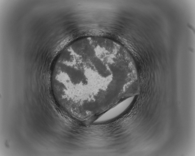 X0000096670679200803041221