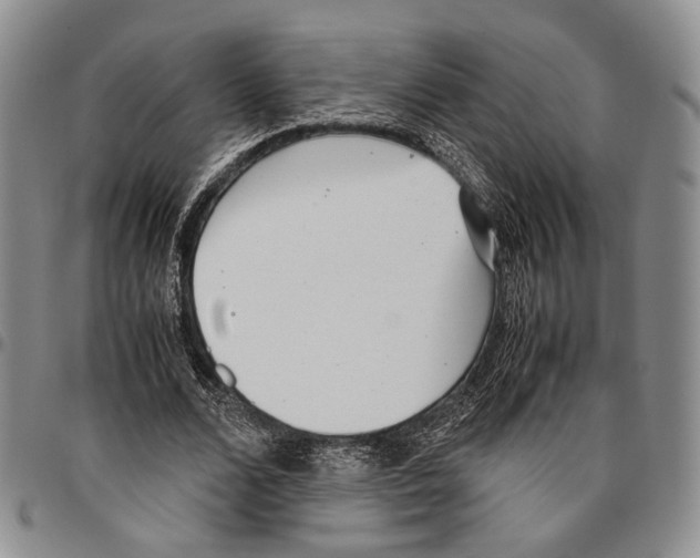 X0000096670680200803041221
