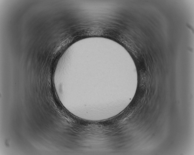 X0000096670681200803041221