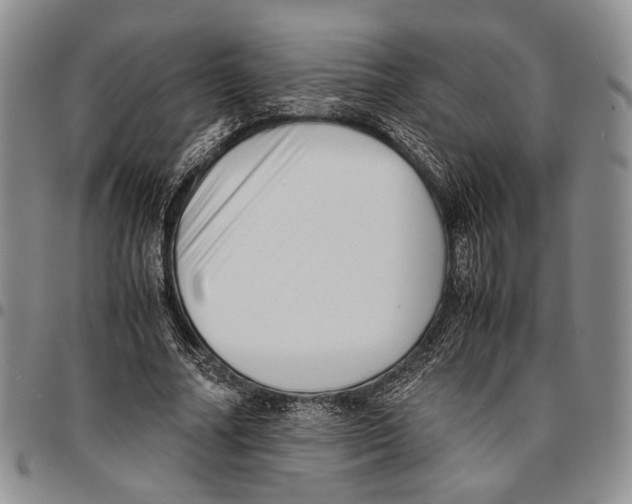 X0000096670682200803041221