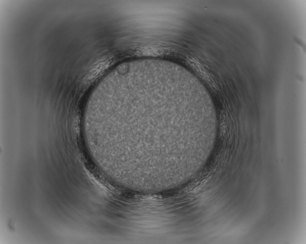 X0000096670683200803041221