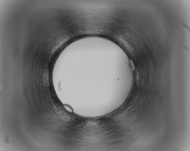 X0000096670684200803041221