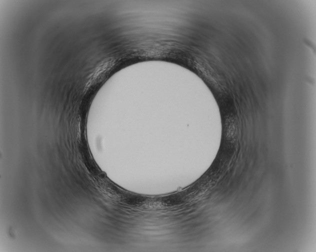 X0000096670685200803041221