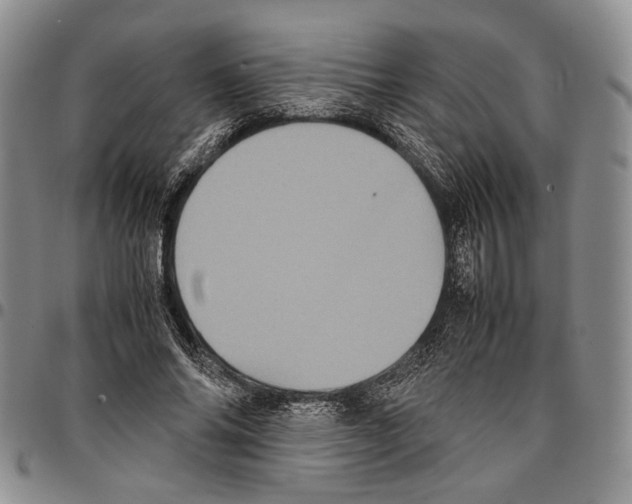 X0000096670686200803041221