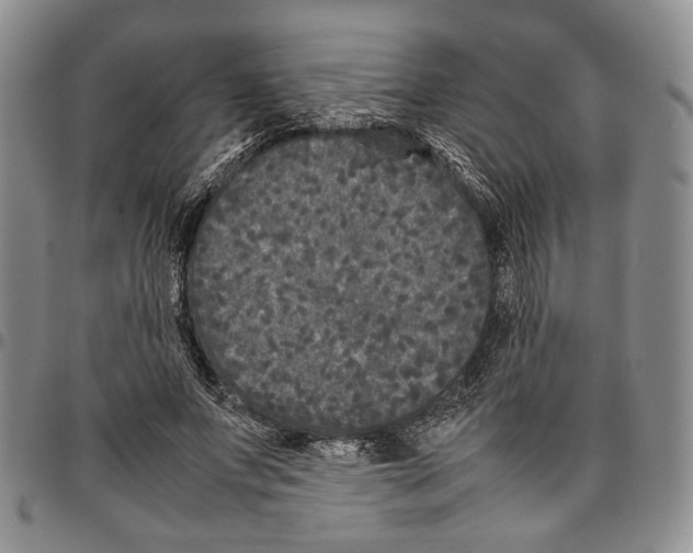 X0000096670687200803041221