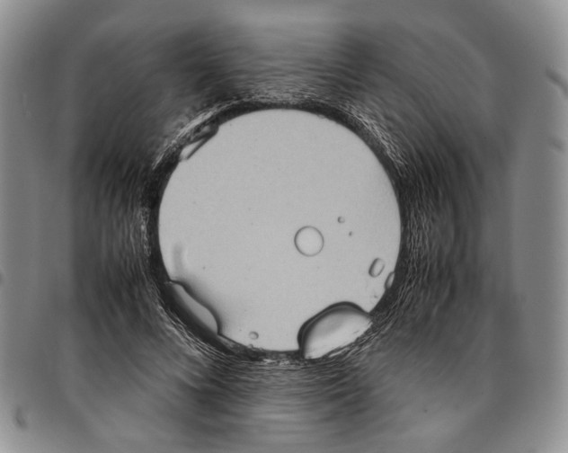 X0000096670688200803041221