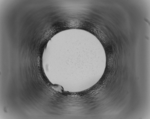 X0000096670689200803041221