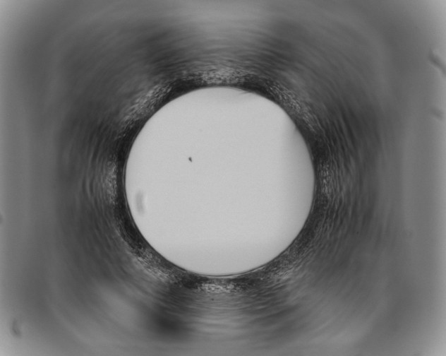 X0000096670690200803041221