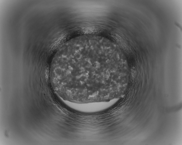 X0000096670691200803041221