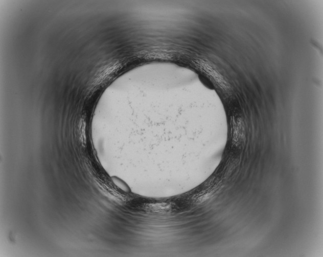 X0000096670692200803041221