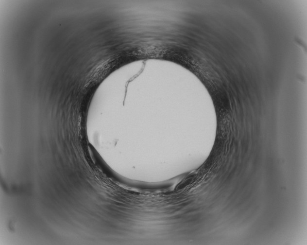 X0000096670693200803041221