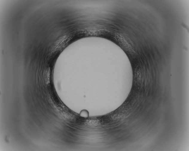 X0000096670694200803041221