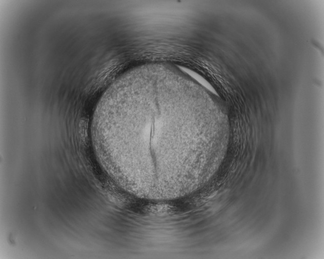 X0000096670695200803041221