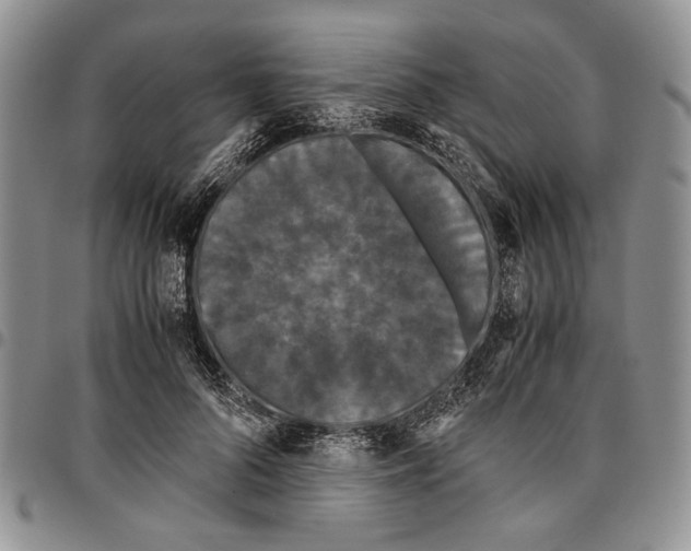 X0000096670696200803041221