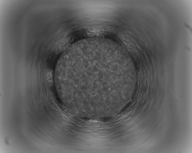 X0000096670699200803041221