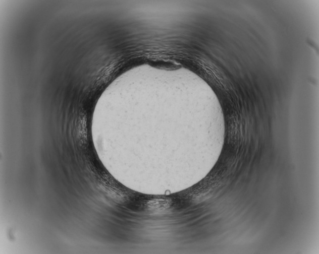 X0000096670700200803041221