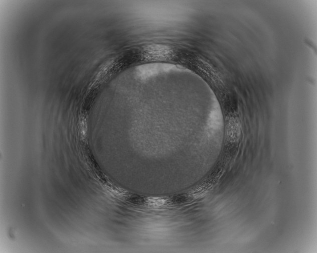 X0000096670701200803041221