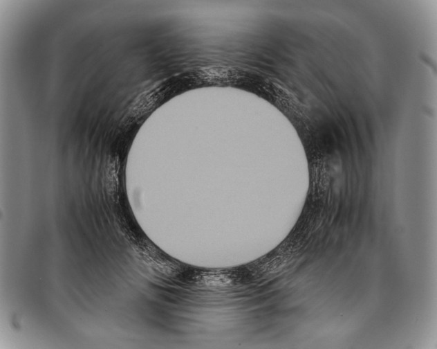 X0000096670702200803041221