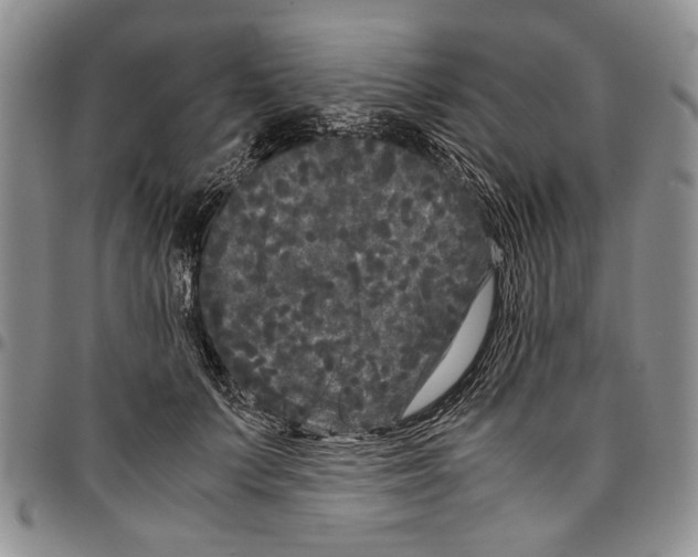 X0000096670703200803041220