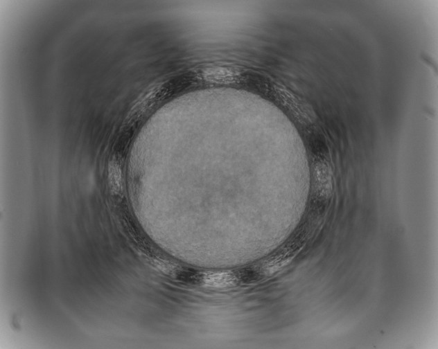 X0000096670705200803041220