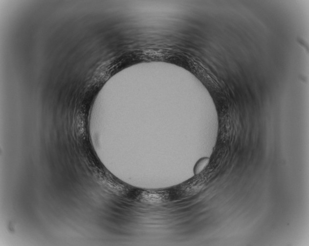 X0000096670706200803041220