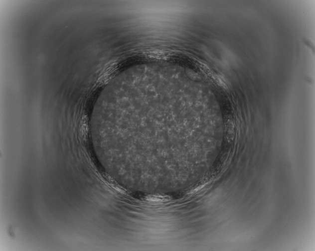 X0000096670707200803041220