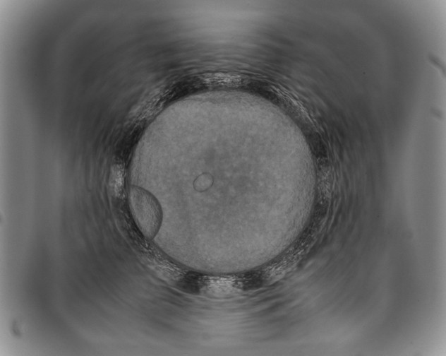 X0000096670709200803041220