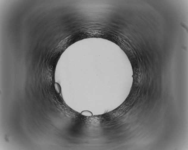 X0000096670710200803041220