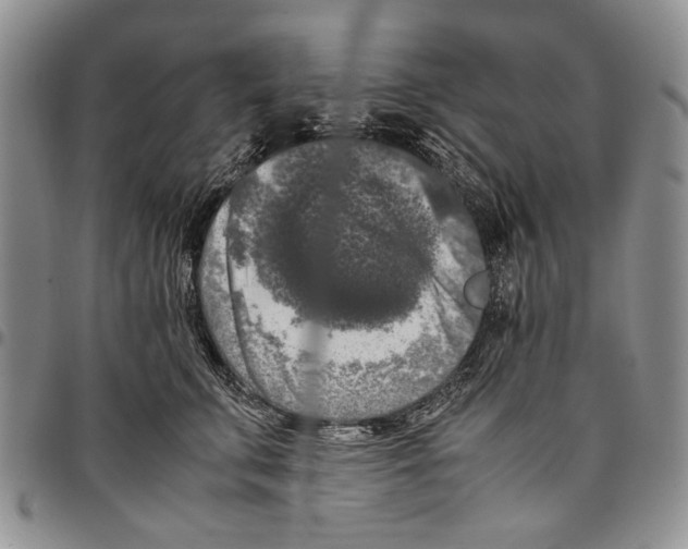X0000096670711200803041220