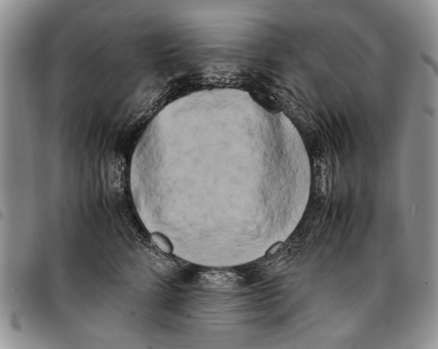 X0000096670712200803041220