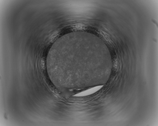 X0000096670715200803041220
