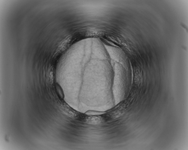 X0000096670716200803041220