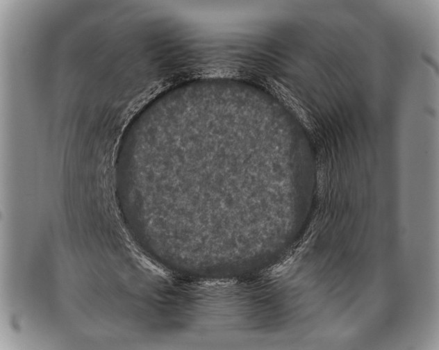 X0000096670721200803041220