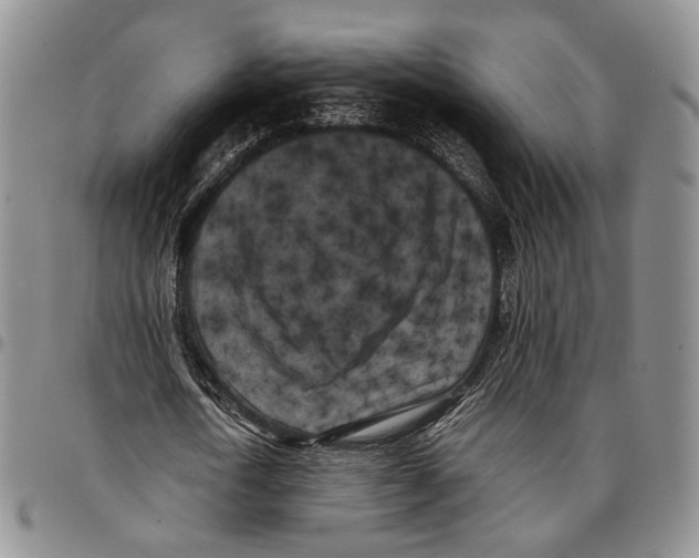 X0000096670722200803041220
