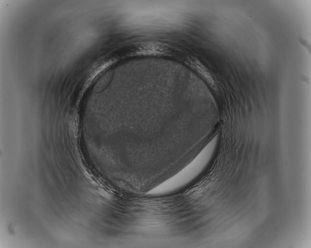 X0000096670724200803041220