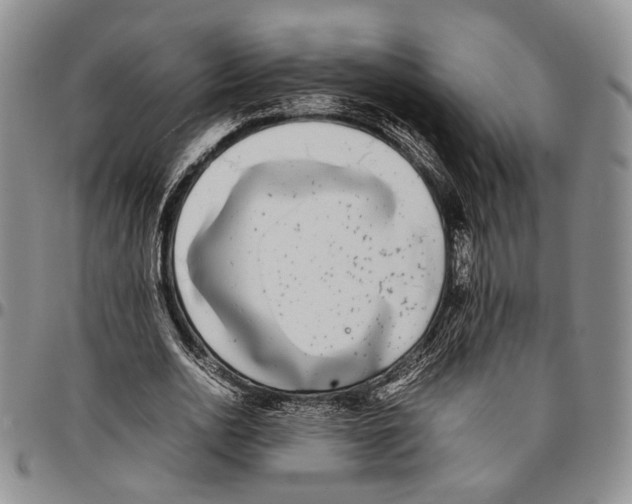 X0000096670726200803041220