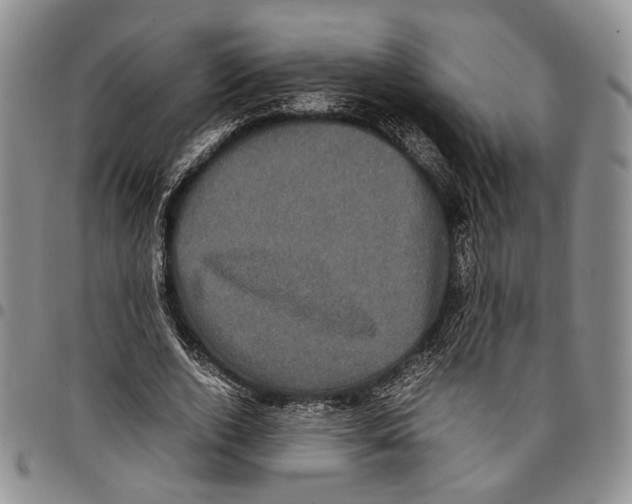 X0000096670728200803041220