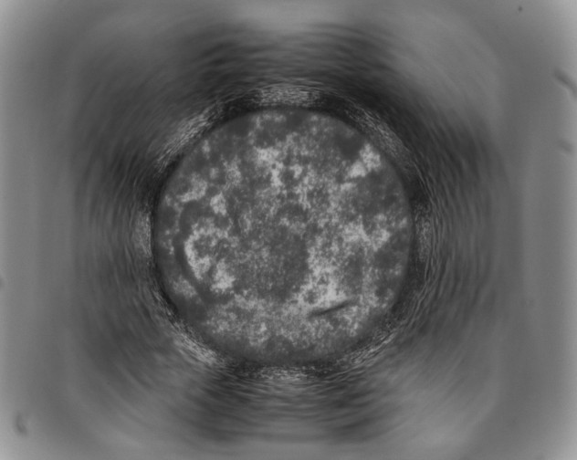 X0000096670729200803041220