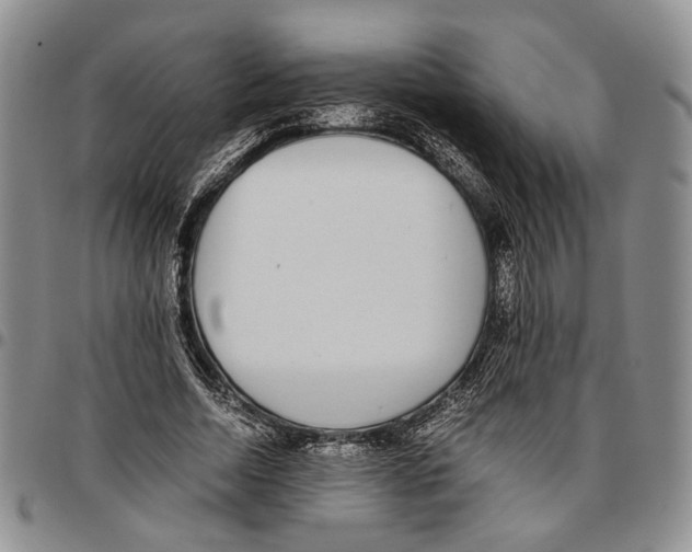 X0000096670730200803041220