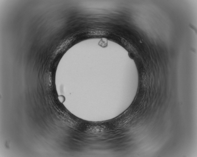X0000096670731200803041220