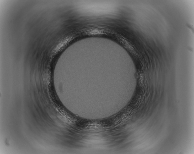 X0000096670732200803041220