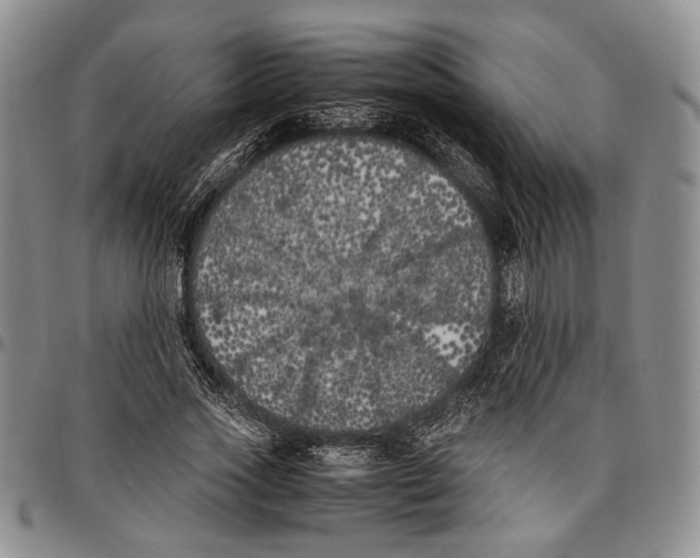 X0000096670733200803041220