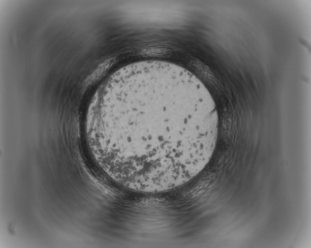 X0000096670734200803041220