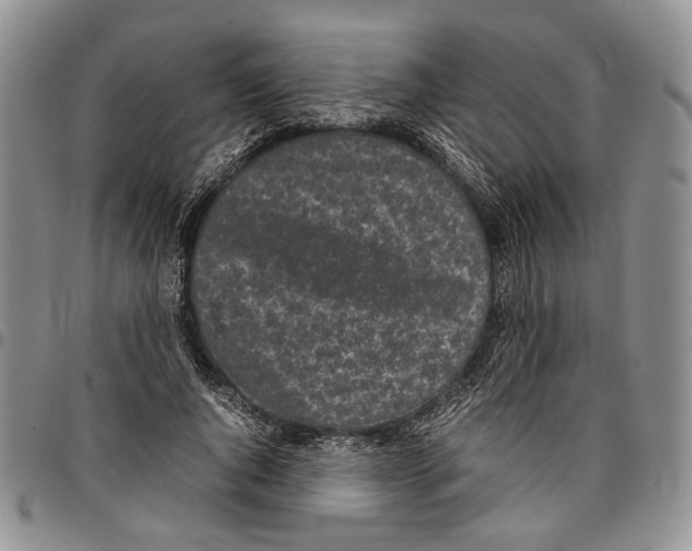 X0000096670736200803041220