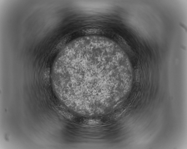 X0000096670737200803041220