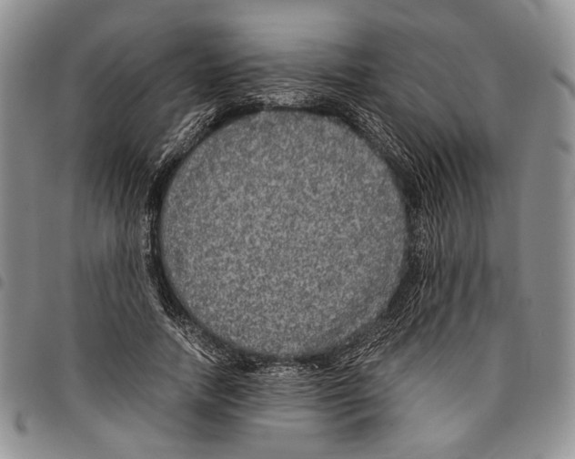 X0000096670738200803041220